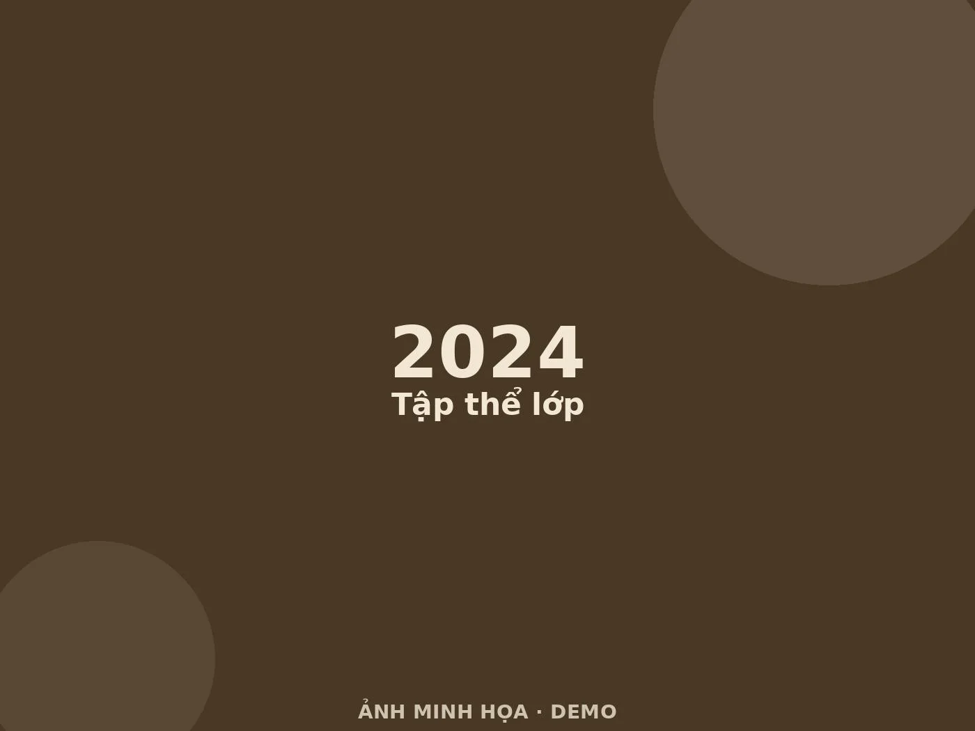 Ảnh minh họa (demo)