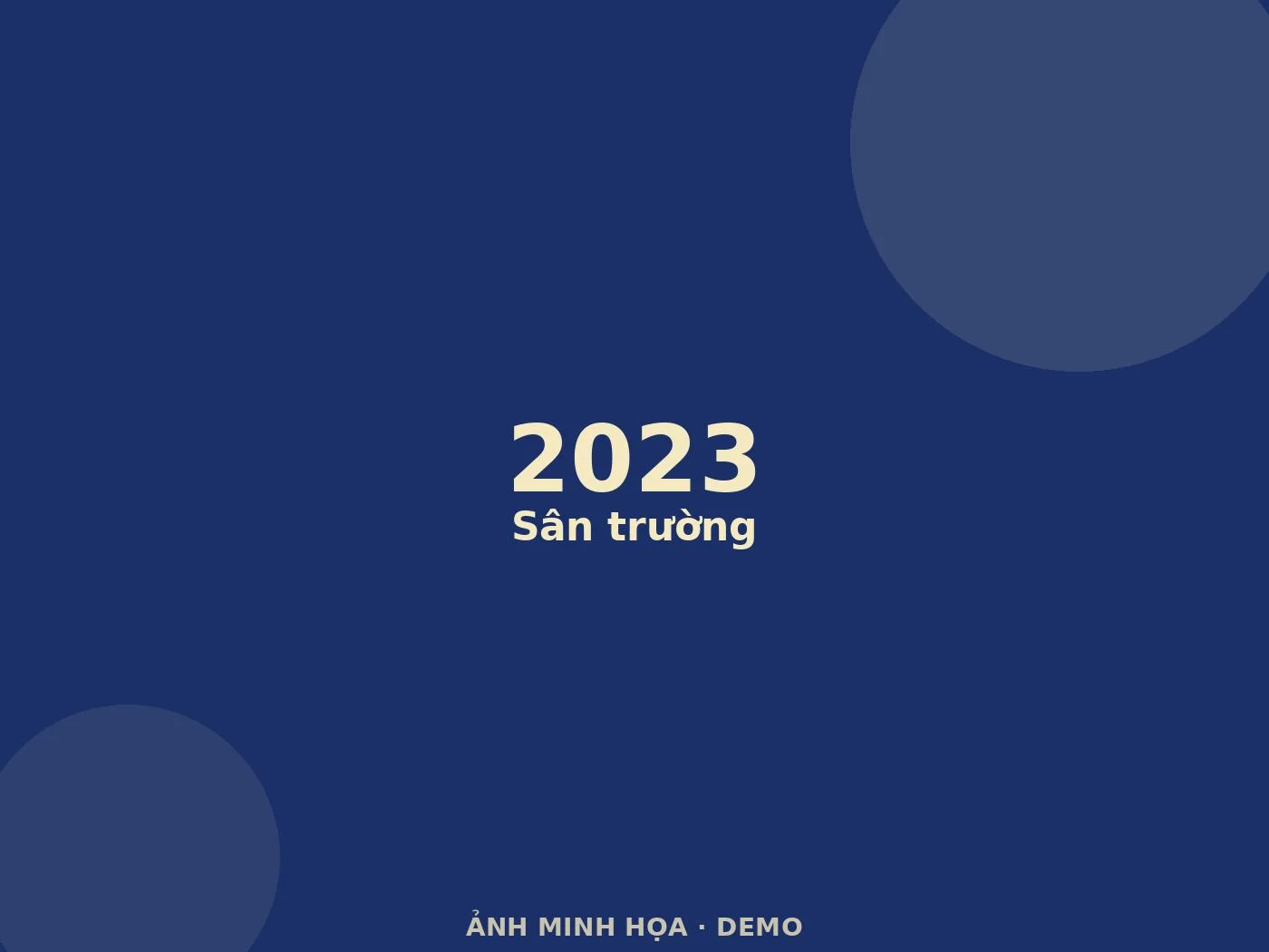 Ảnh minh họa (demo)