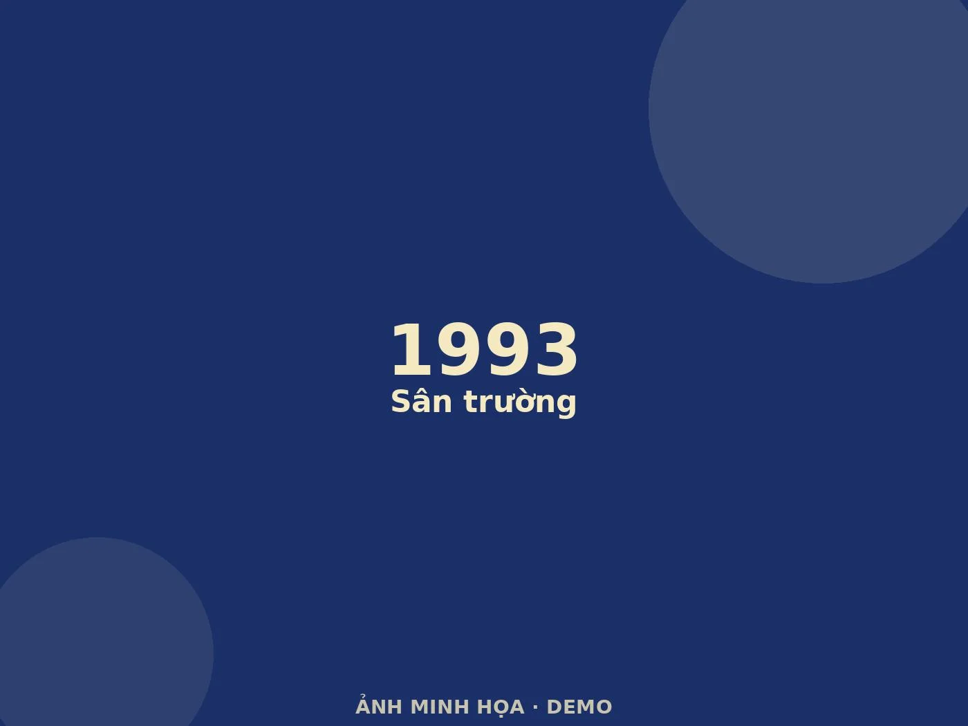Ảnh minh họa (demo)