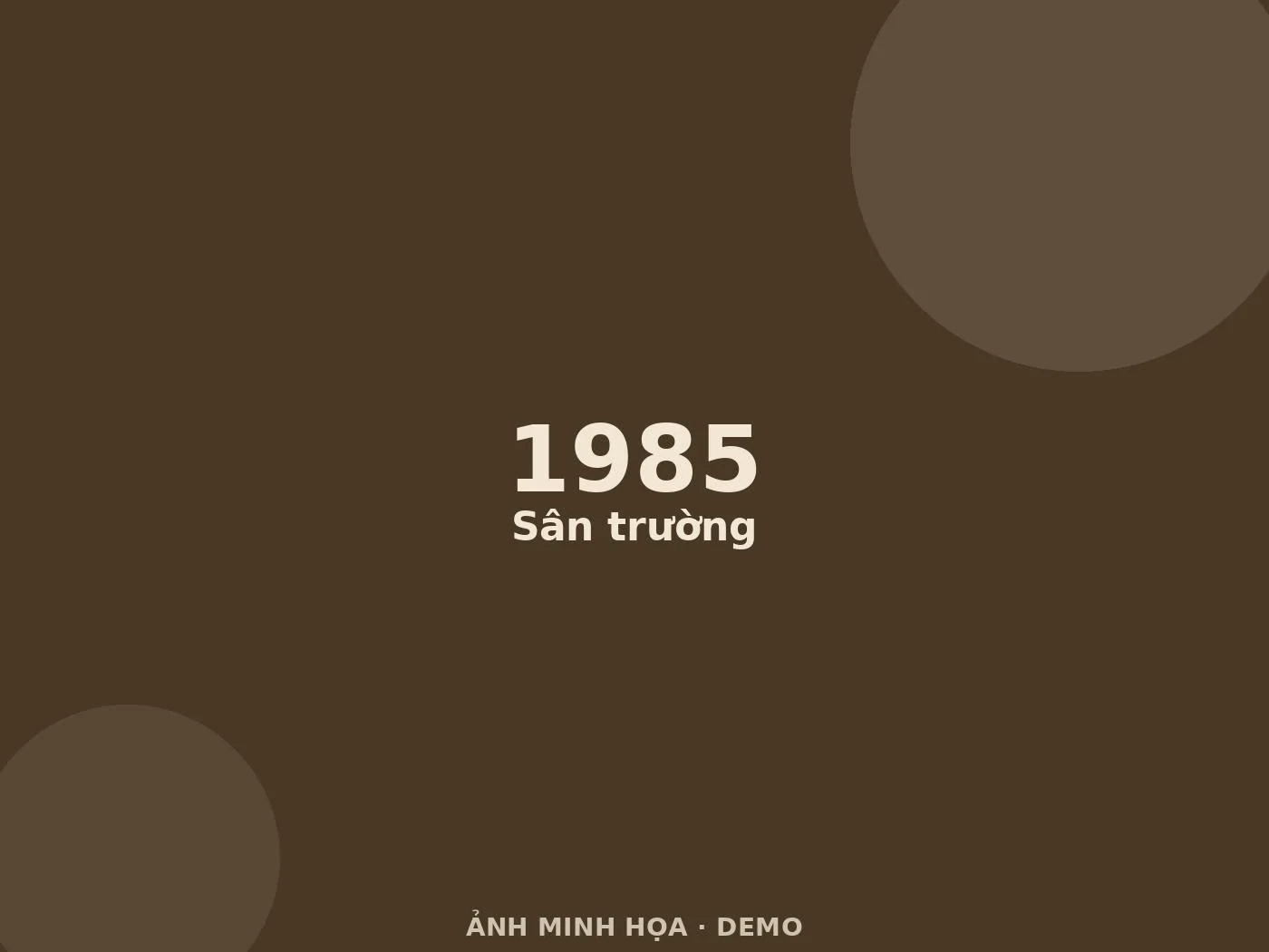 Ảnh minh họa (demo)
