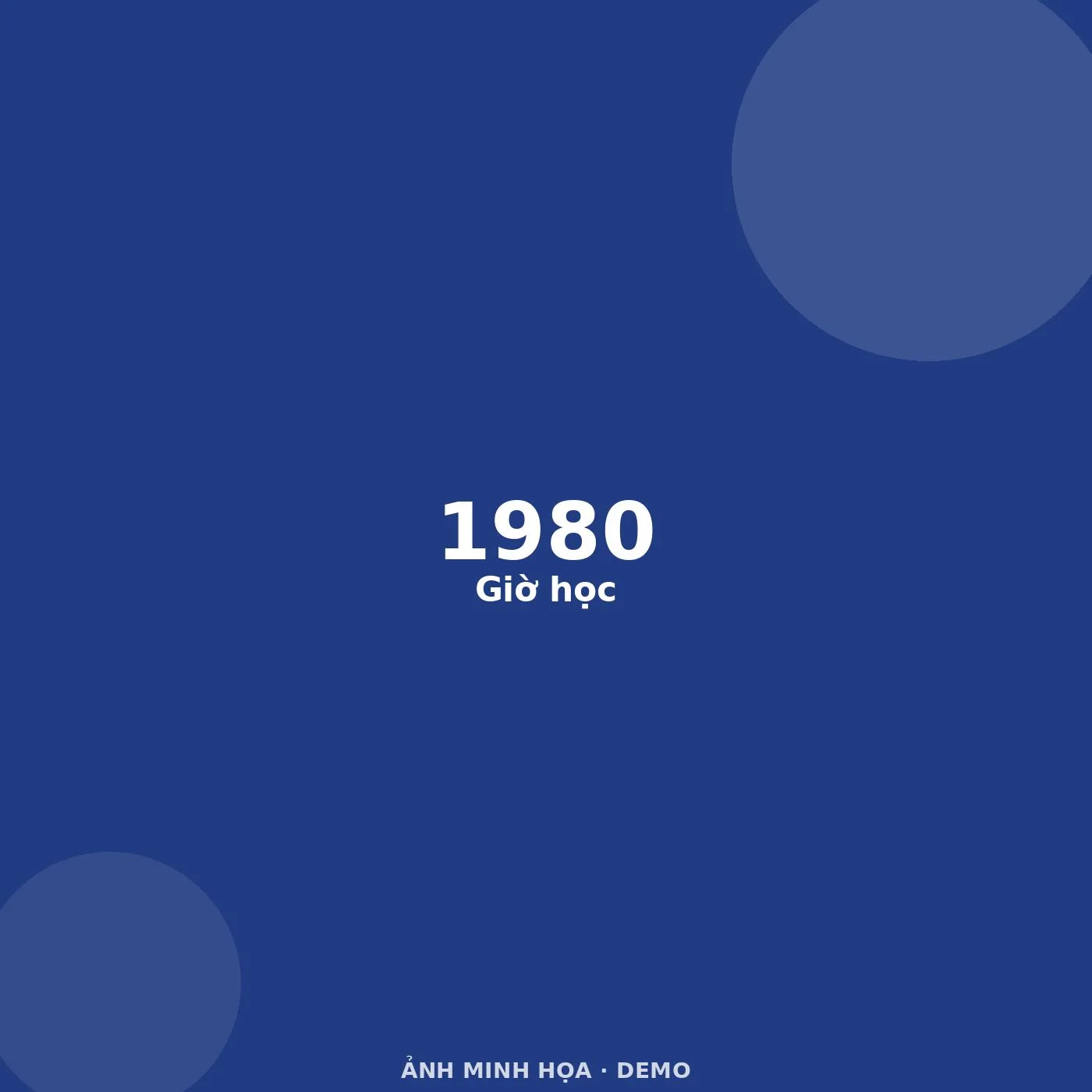 Ảnh minh họa (demo)