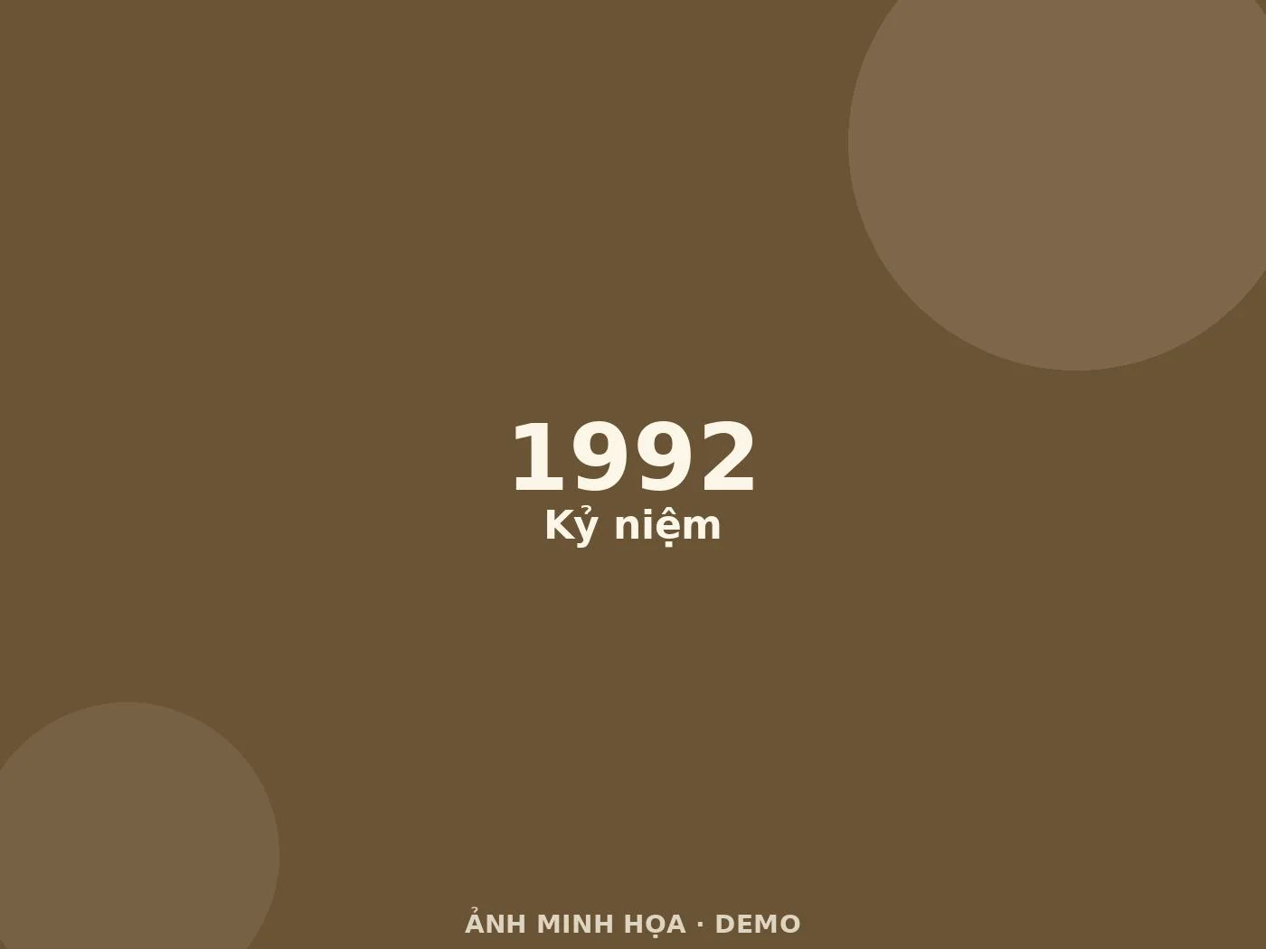 Ảnh minh họa (demo)