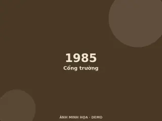 Ảnh minh họa (demo)