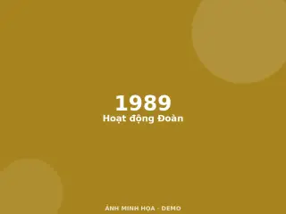 Ảnh minh họa (demo)