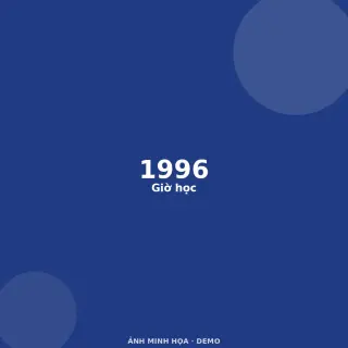Ảnh minh họa (demo)