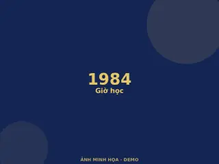Ảnh minh họa (demo)