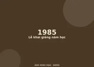 Ảnh minh họa (demo)