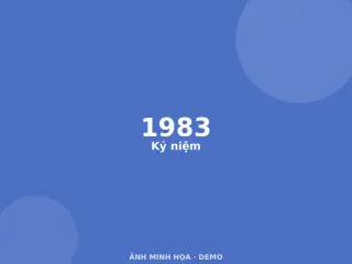 Ảnh minh họa (demo)