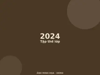 Ảnh minh họa (demo)