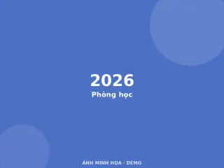 Ảnh minh họa (demo)
