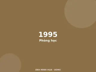 Ảnh minh họa (demo)