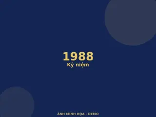 Ảnh minh họa (demo)