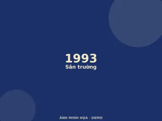 Ảnh minh họa (demo)