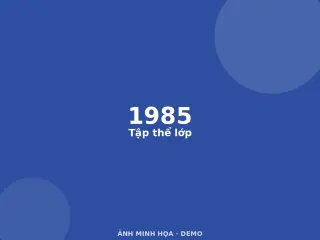 Ảnh minh họa (demo)