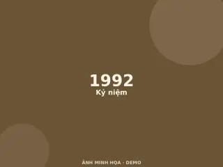 Ảnh minh họa (demo)