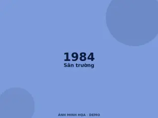 Ảnh minh họa (demo)