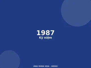Ảnh minh họa (demo)