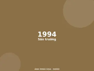 Ảnh minh họa (demo)