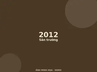 Ảnh minh họa (demo)