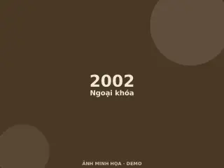 Ảnh minh họa (demo)