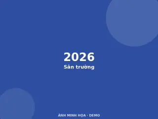 Ảnh minh họa (demo)
