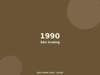 Ảnh minh họa (demo)