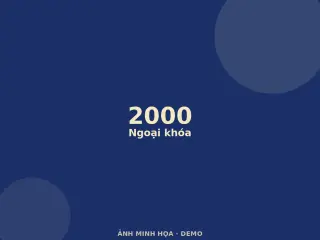 Ảnh minh họa (demo)