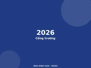 Ảnh minh họa (demo)